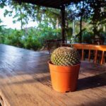 Table de jardin en bois